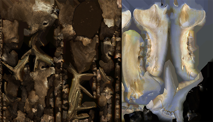 3-d scans.. texture maps skulls, Alan Powell, Christine Kemp