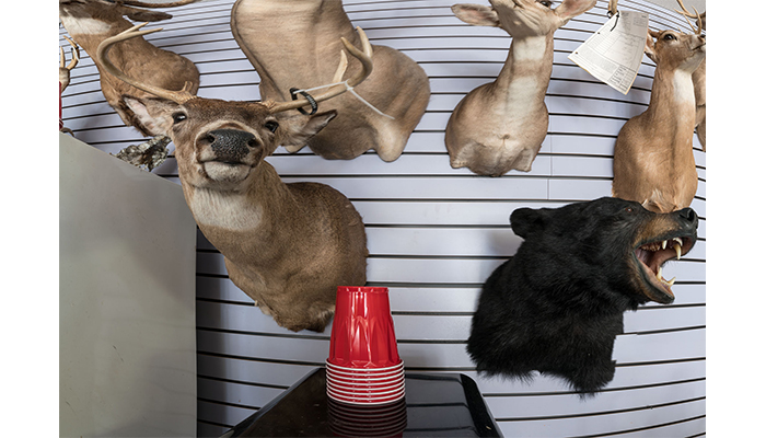 "Deer, Bear, and red Cups" - Taxidermy Shop, PA, photo by Alan Powell 2017