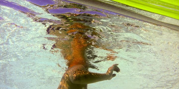 Head Splash, underwater photography, Alan Powell 2018