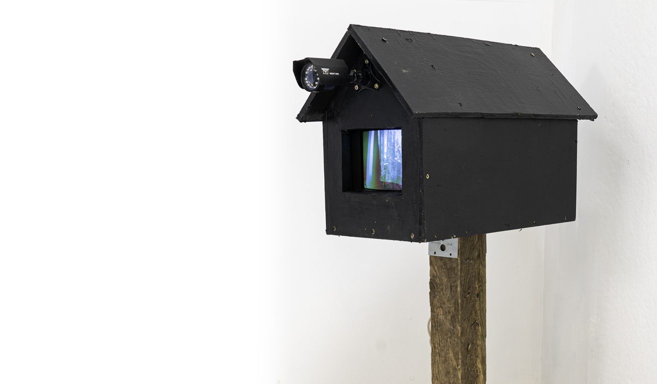 Build for Artpark NY 2013, rebuilt in 2022. Shown at Artpark, Vox Populi Gallery , Philadelphia, Cherry Street Pier, Philadelphia, Long Year Gallery, Ovid Gallery video monitor mounted in a bird house. Surveillance camera loops to monitor