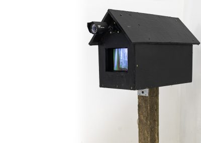Build for Artpark NY 2013, rebuilt in 2022. Shown at Artpark, Vox Populi Gallery , Philadelphia, Cherry Street Pier, Philadelphia, Long Year Gallery, Ovid Gallery video monitor mounted in a bird house. Surveillance camera loops to monitor